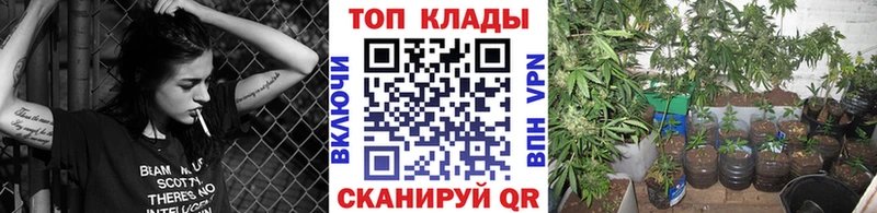 Как найти наркотики Торжок АМФ  Меф  Псилоцибиновые грибы  ГАШИШ 
