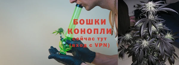 сатива Мегион