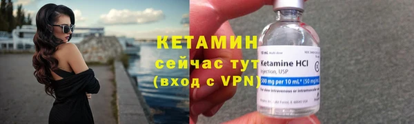 сатива Мегион