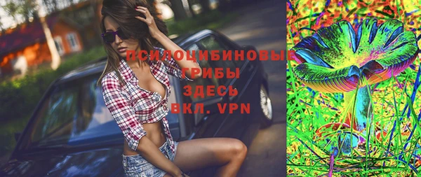 сатива Мегион