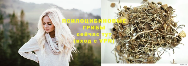 сатива Мегион