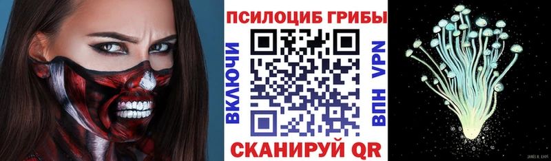 блэк спрут вход Торжок Галлюциногенные грибы Psilocybine cubensis